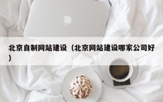 宜春北京自制网站建设（北京网站建设哪家公司好）